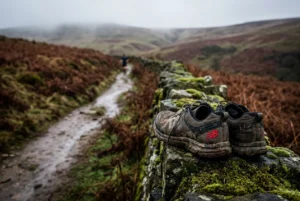 Professional header image for educational tutorial: Trail Running Shoes for UK Terrain: How to Pick the Right...